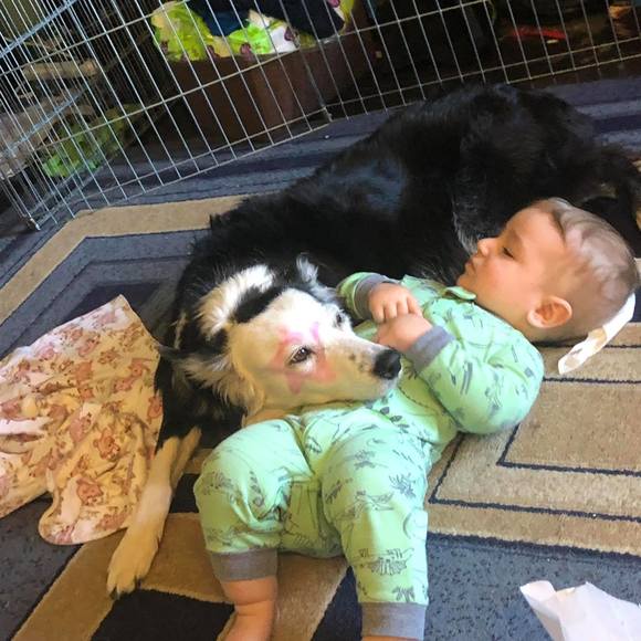 Meet your Posher, Amanda - Picture 1 of 1